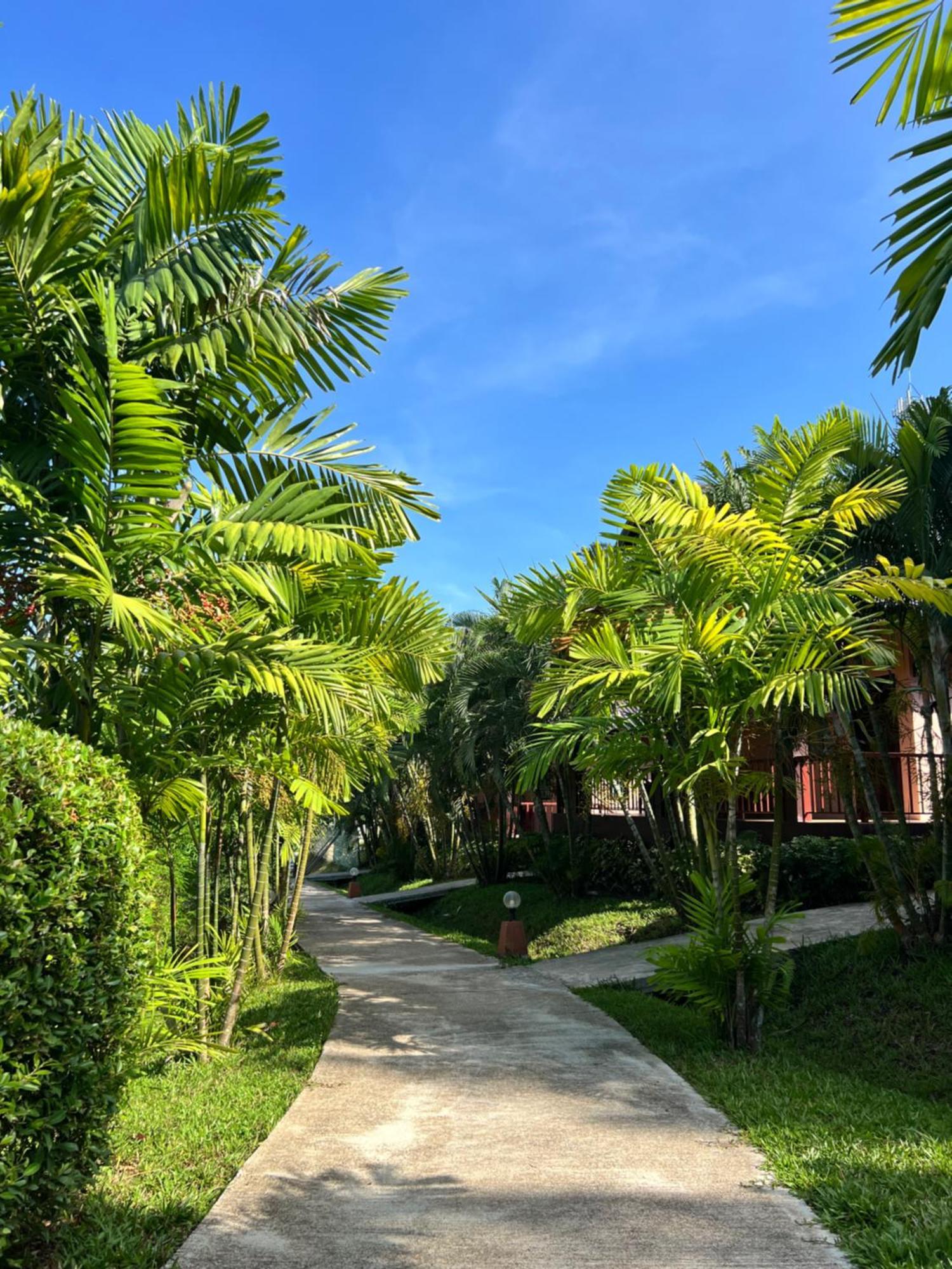 Palm Kiri Aonang Resort Ao Nang Exterior foto